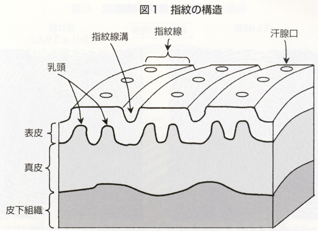 指紋の再生と消滅 齋藤鑑識証明研究所